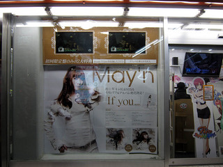 110223tora.jpg